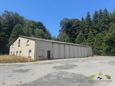 Vente Immeuble TREIGNAC 19260