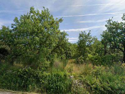 Vente Terrain GRIGNAN 26230