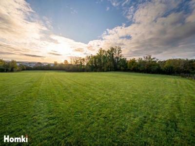 Vente Terrain NEUVILLE-SUR-AIN  01