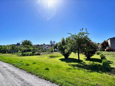 Vente Terrain JONCHERY-SUR-VESLE 51140