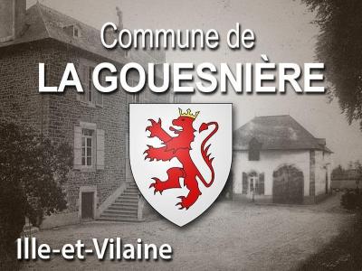 Vente Terrain GOUESNIERE 35350