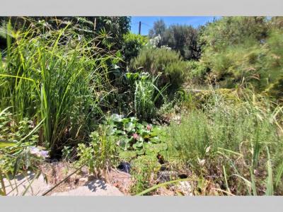 Vente Maison SAINT-SAVOURNIN 