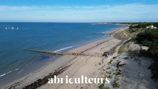 Vente Prestige NOIRMOUTIER-EN-L'ILE 85330