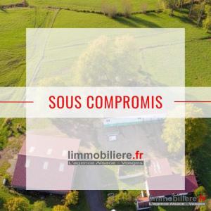 Vente Maison 3 pi�ces WISEMBACH 88520