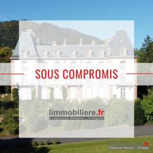 Vente Appartement 8 pièces SAINT-DIE 88100