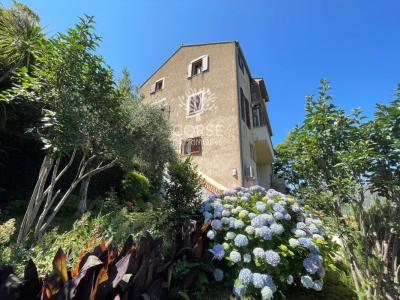 Vente Maison 9 pièces SAINTE-LUCIE-DE-TALLANO 20112