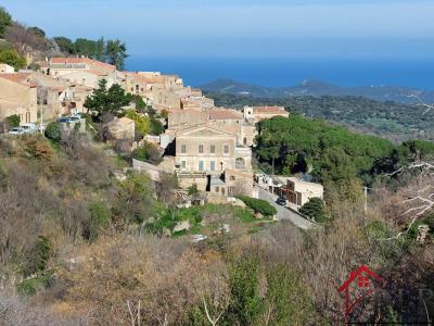 Vente Terrain VILLE-DI-PARASO 20279