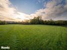 For sale Land Neuville-sur-ain 01160 4191 m2