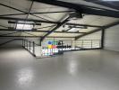 Louer Commerce Arnage 20520 euros
