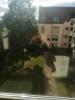 Louer Appartement Illkirch-graffenstaden 575 euros