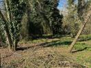 Annonce Vente 7 pièces Maison Saint-pey-de-castets