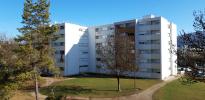 Location Appartement Oyonnax 01