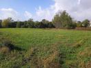 Annonce Vente Terrain Braud-et-saint-louis
