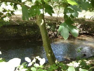 Vente Terrain BONCOURT 28260