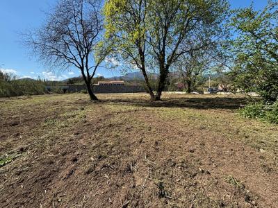 Vente Terrain VENZOLASCA 20215