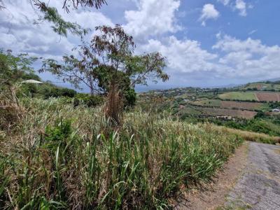 Vente Terrain CARBET  972