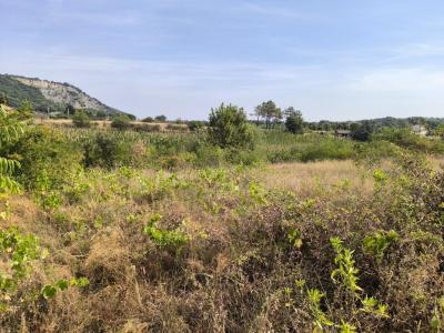 Vente Terrain CORNAS 07130