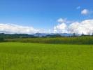 Annonce Vente Terrain Bidache