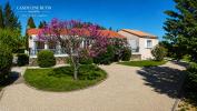 House MALVES-EN-MINERVOIS 