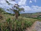 Vente Terrain Carbet 972