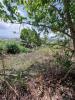 Acheter Terrain Carbet 125000 euros