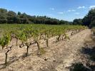 Land SAINT-HILAIRE-D'OZILHAN 
