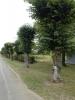 Annonce Vente Terrain Etrechy