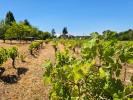 Acheter Maison 250 m2 Champ-sur-layon