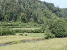 Acheter Maison 83 m2 Chissey-en-morvan