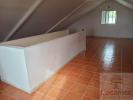 House PLAINE-DES-PALMISTES 