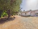 Annonce Vente 6 pi�ces Maison Prunelli-di-fiumorbo