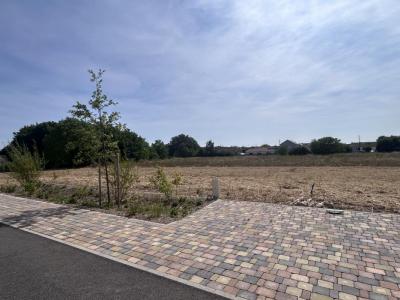 Vente Terrain TAISSY 51500