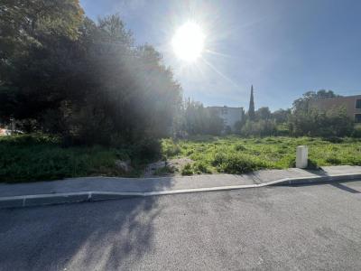 Vente Terrain BORMES-LES-MIMOSAS 83230