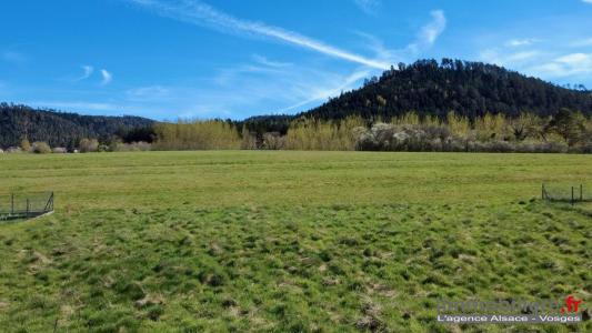 Vente Terrain BOURGONCE 88470