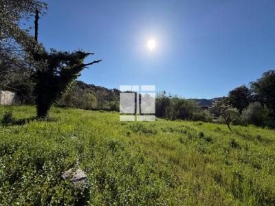 For sale House PIETROSELLA GROSSETO-PRUGNA