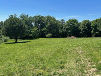 Vente Terrain GRATENTOUR 31150