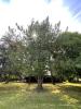 Prestigious house FAOUET PLOUHA