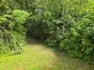 Acheter Terrain Palaiseau 550000 euros