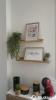 Louer Appartement Chartres 780 euros