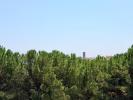 Acheter Appartement 51 m2 