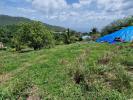 Land MORNE-VERT 