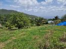 Land MORNE-VERT 