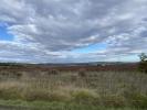 Land PAULIGNE 