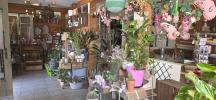 Acheter Local commercial Cluis 34000 euros