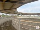 Acheter Maison Thorigne-d'anjou 900000 euros