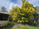 Annonce Vente Terrain Rochefort-du-gard