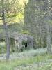 Land  PROCHE VILLAGE