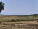 Acheter Maison Aries-espenan 195000 euros