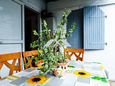 For sale House BRAS-PANON  974
