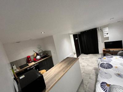 Location Appartement SAINT-CIERS-SUR-GIRONDE 33820